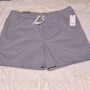 Goodfellow & Co Light Gray Men's Shorts